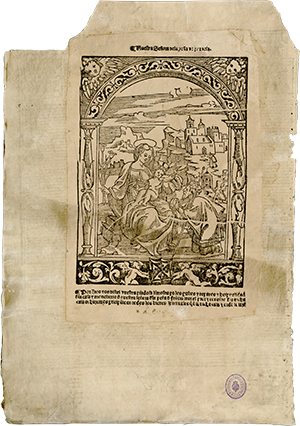 UCM: BH MSS 567